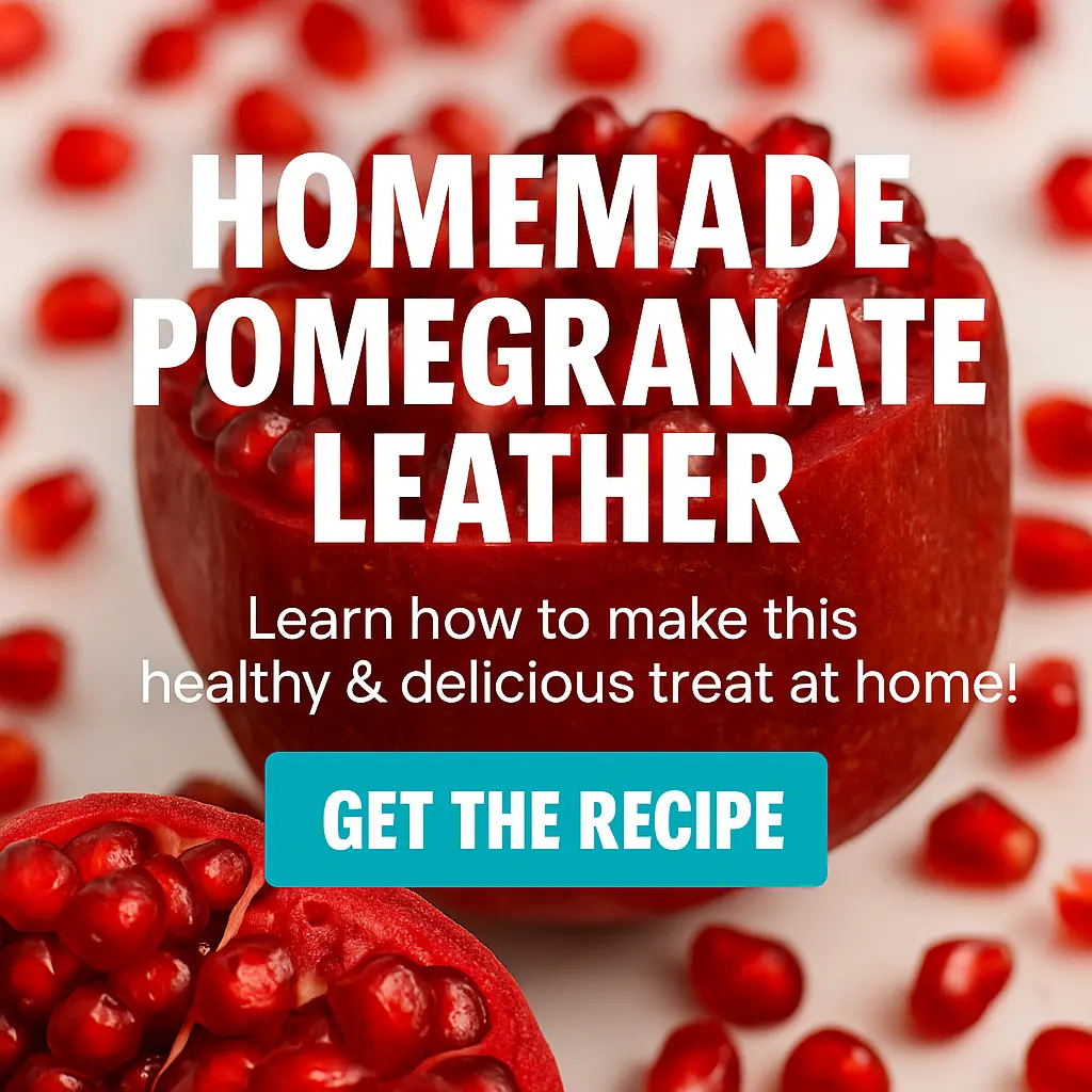 Discover Homemade Pomegranate Leather - Learn how to make it!